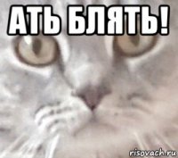 ать блять! 