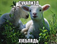сукапизд хуеблядь