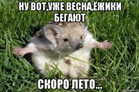 ну вот,уже весна,ёжики бегают скоро лето...
