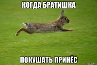 когда братишка покушать принёс