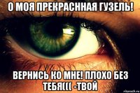 о моя прекраснная гузель! вернись ко мне! плохо без тебя((( -твой