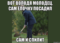 вот володя молодец. сам ёлочку посадил сам и спилит