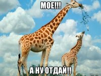 мое!!! а ну отдай!!