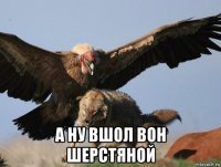 а ну вшол вон шерстяной