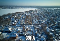  сука