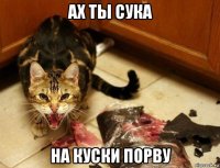 ах ты сука на куски порву