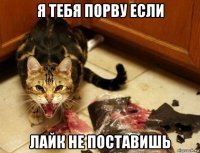 я тебя порву если лайк не поставишь