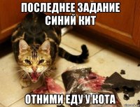 последнее задание синий кит отними еду у кота
