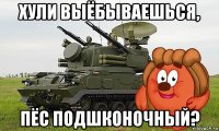 хули выёбываешься, пёс подшконочный?