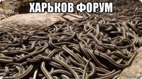 харьков форум 