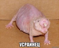  усраинец
