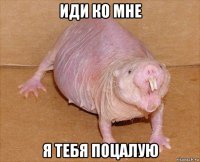 иди ко мне я тебя поцалую