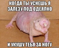 когда ты уснешь я залезу под одеялко и укушу тебя за ногу