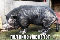  пол кило уже не тот