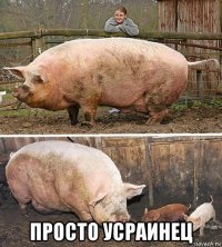  просто усраинец