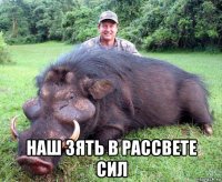  наш зять в рассвете сил
