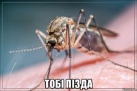  тобi пiзда