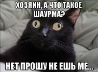 хозяин, а что такое шаурма? нет прошу не ешь ме...