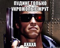 пудинг только укрожопые жрут ахаха