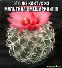 это же кактус из мультика смешарики!!!!! 