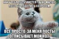 как у тебя получаются такие милые посты? поделись секретом. всё просто. за меня посты отписывает мой кот.