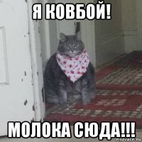 я ковбой! молока сюда!!!