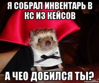 я собрал инвентарь в кс из кейсов а чео добился ты?