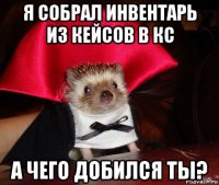 я собрал инвентарь из кейсов в кс а чего добился ты?