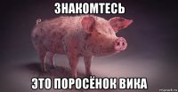 знакомтесь это поросёнок вика