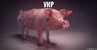 укр 