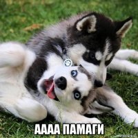  аааа памаги
