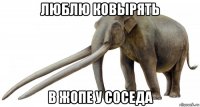 люблю ковырять в жопе у соседа
