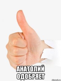  анатолий одобряет