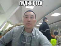 пудинг гей 