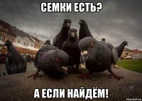 семки есть? а если найдём!