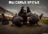 мы самые крутые 