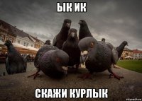 ык ик скажи курлык