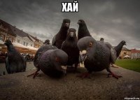 хай 