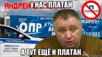 у нас платан а тут ещё и платан