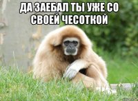 да заебал ты уже со своей чесоткой 