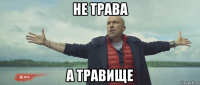 не трава а травище