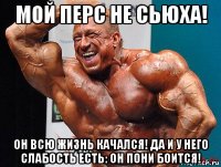 мой перс не сьюха! он всю жизнь качался! да и у него слабость есть: он пони боится!