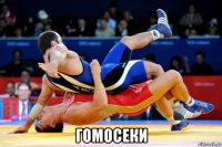  гомосеки