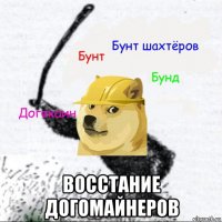  восстание догомайнеров