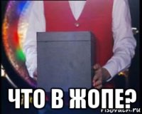  что в жопе?