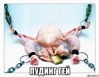  пудинг гей