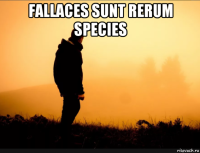 fallaces sunt rerum species 