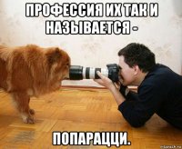 профессия их так и называется - попарацци.