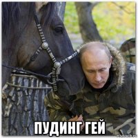  пудинг гей