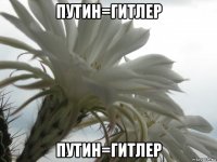 путин=гитлер путин=гитлер